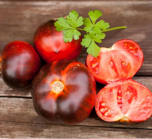 Tomato  Bleve P-20
